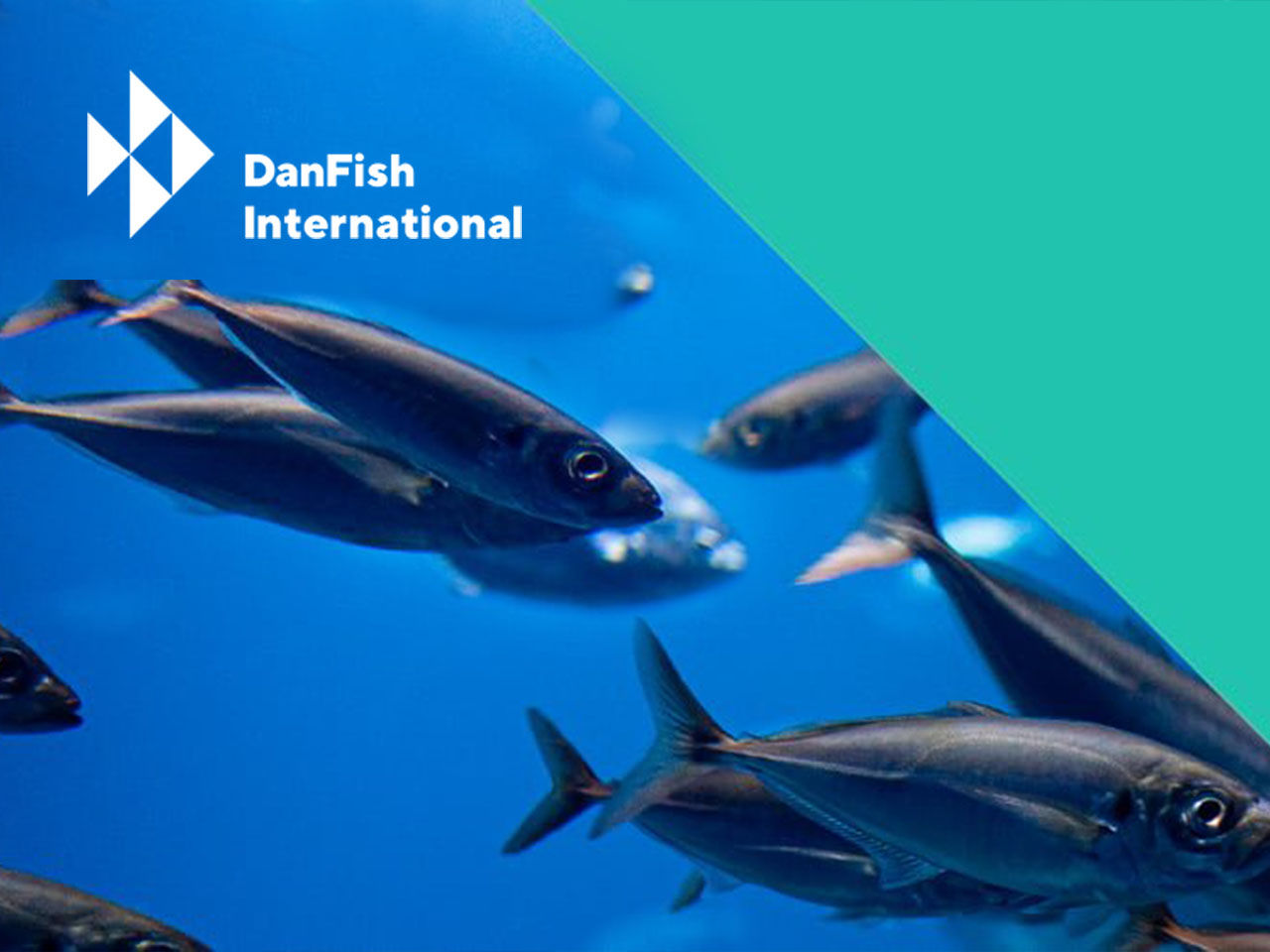 DanFish