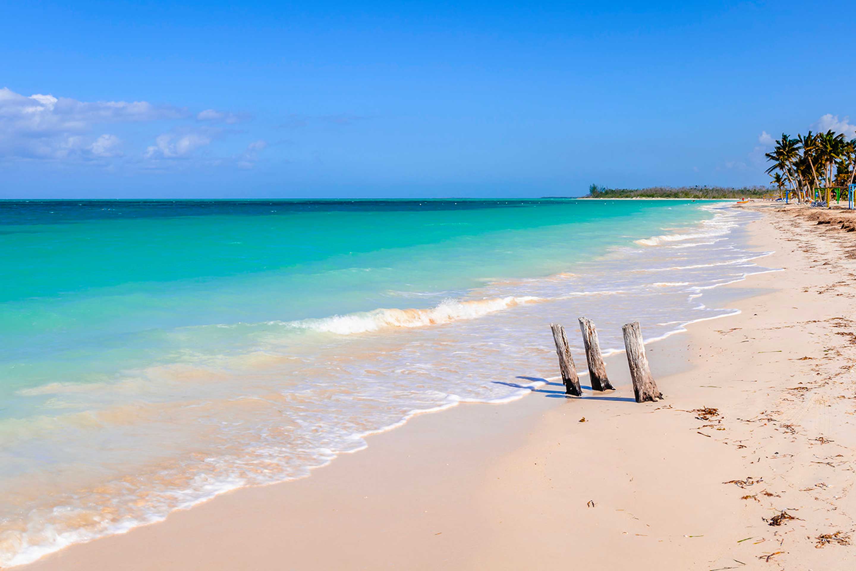 A photo of a beach and ocean for World Environment Day