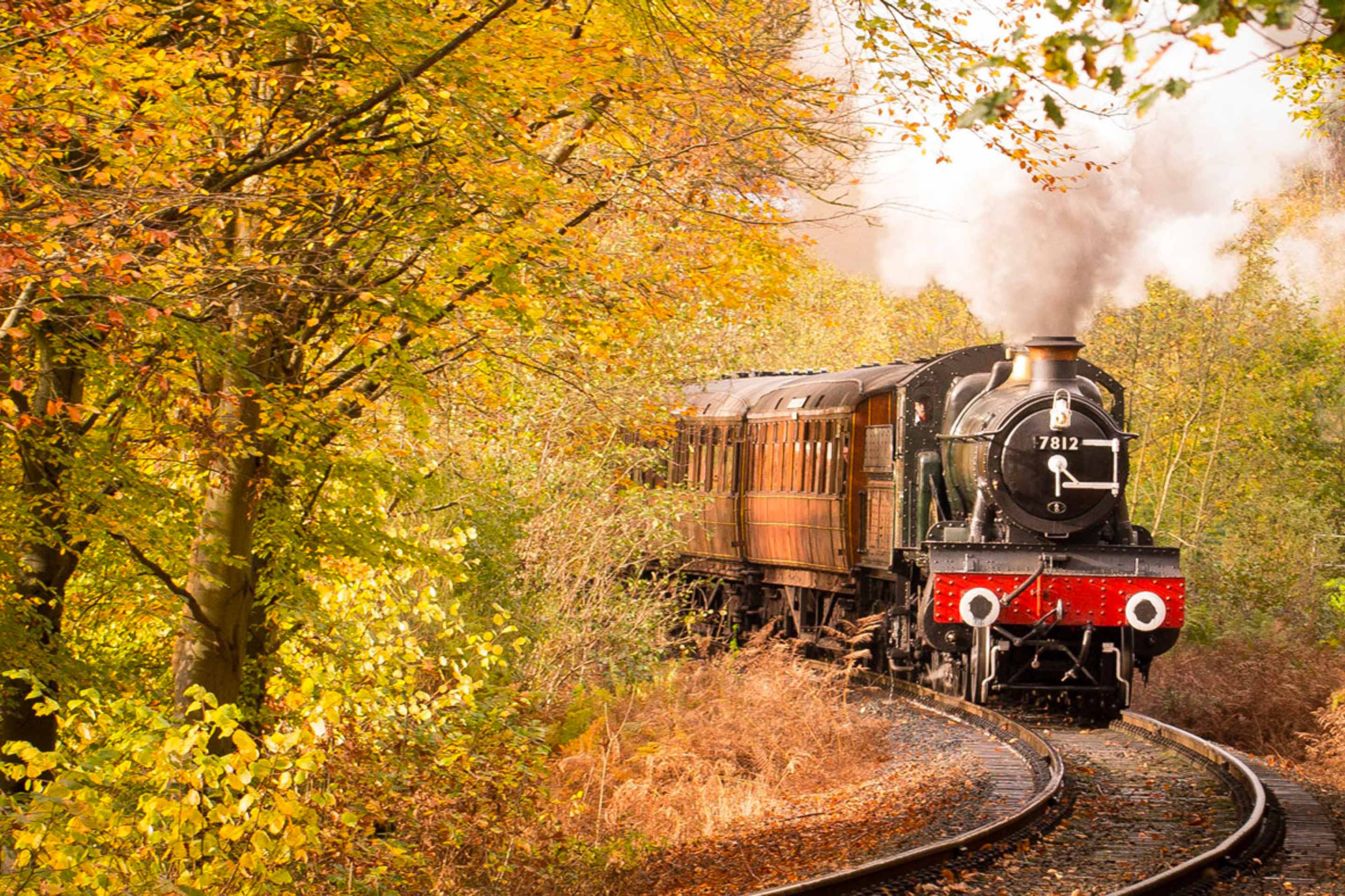 A steam engine travelling through trees
