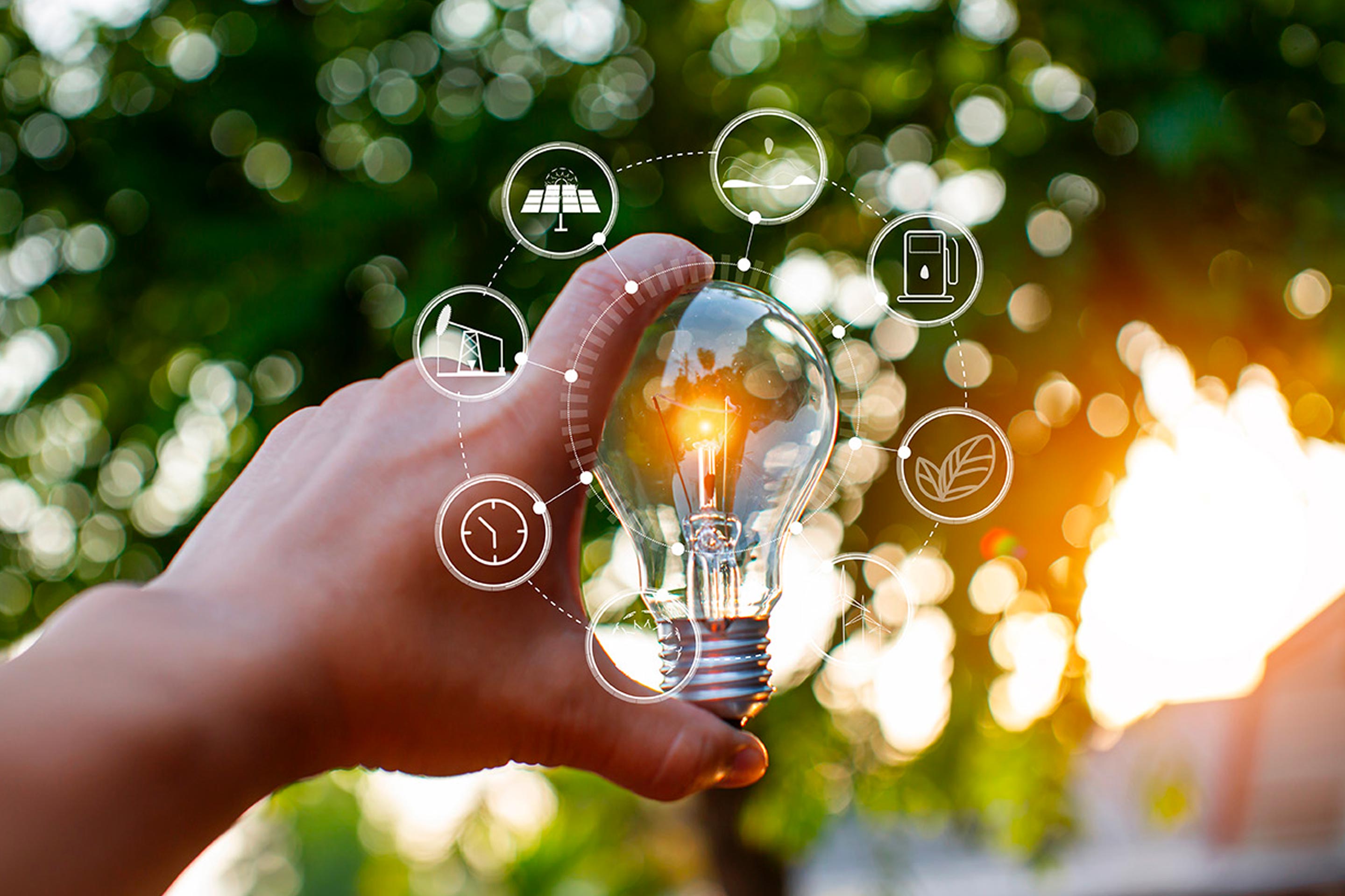 A lightbulb in the sunlight to signify World Energy Efficiency Day