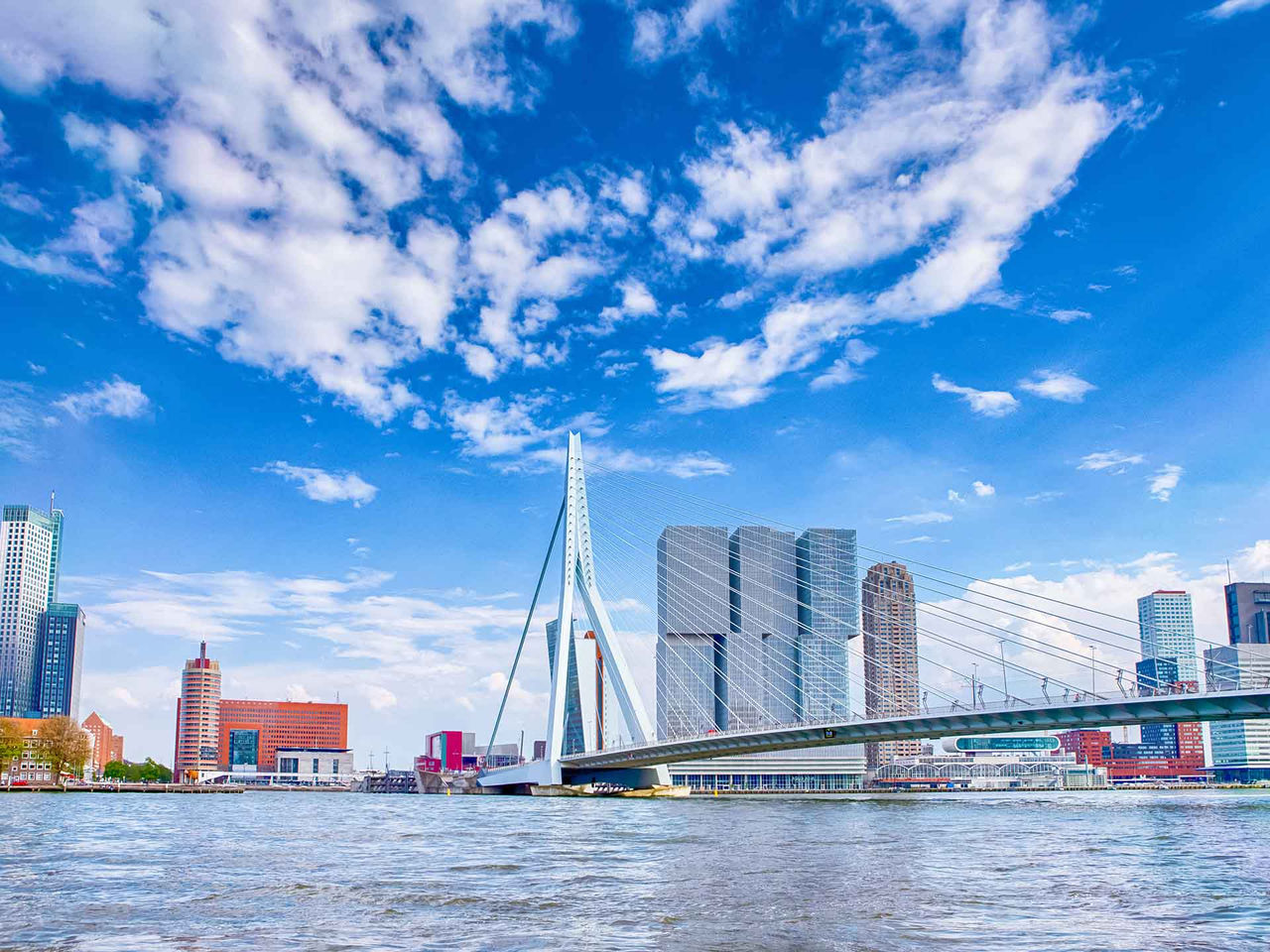 Accelleron - Rotterdam 2025