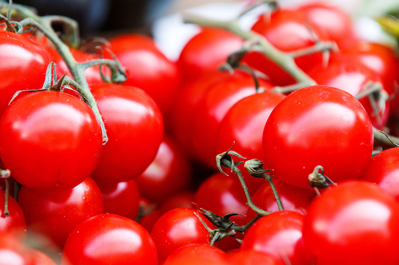 tomato