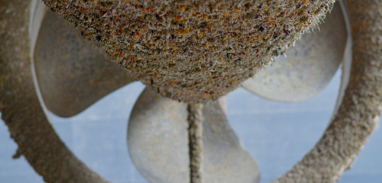 barnacled hull