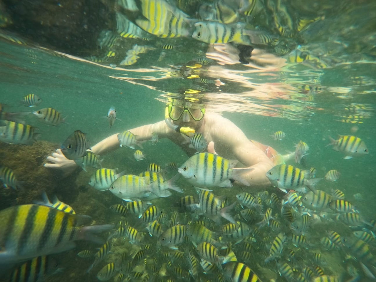 Matthias snorkeling at a coral reef in Salvador, Brazil, while awaiting a ship’s arrival at port
