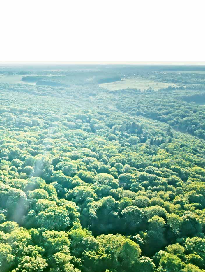 Sustainability report