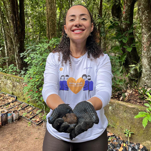Accelleron - Brazil, Tijuca National Park