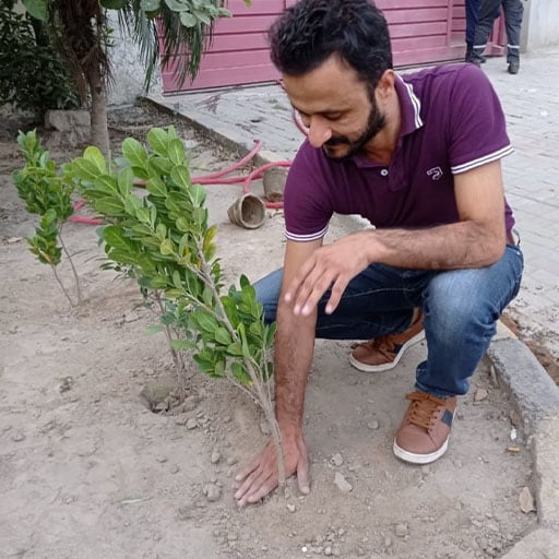 Accelleron - Pakistan planting trees